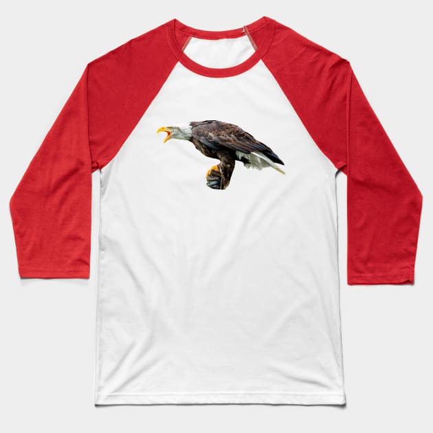 Screaming Bald Eagle Baseball T-Shirt by dalyndigaital2@gmail.com